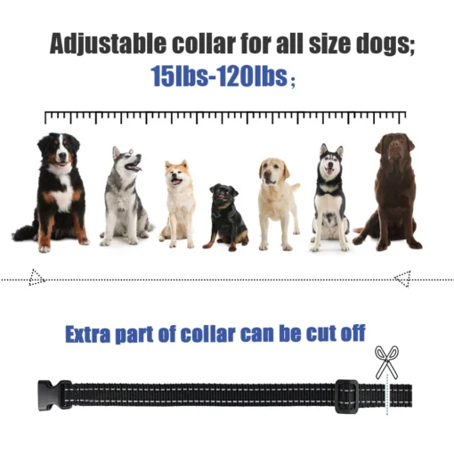 MASBRILL 800m Electric Dog Training Collar Light IP7 Waterproof Pet Remote Control With Shock Vibration Sound Function Collars 6